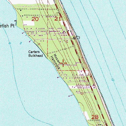 Topographic Map of Mosier Hammock, FL