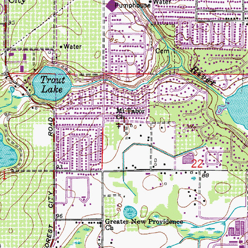 Topographic Map of Mount Tabor Church, FL