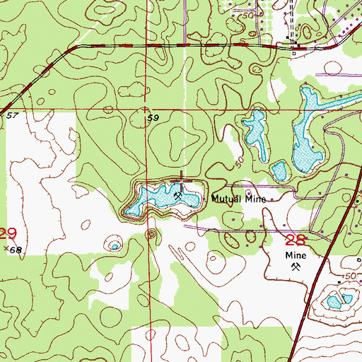 Topographic Map of Mutual Mine, FL