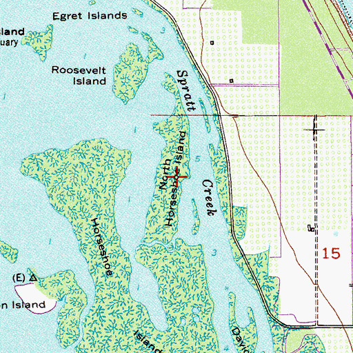 Topographic Map of North Horseshoe Island, FL