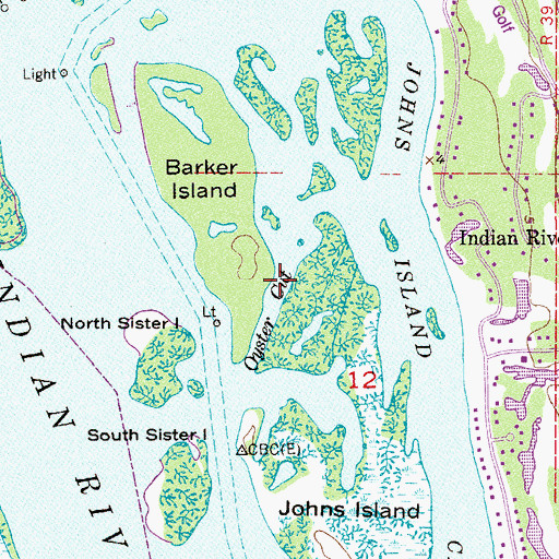 Topographic Map of Oyster Cut, FL