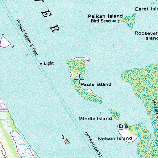 Topographic Map of Pauls Island, FL