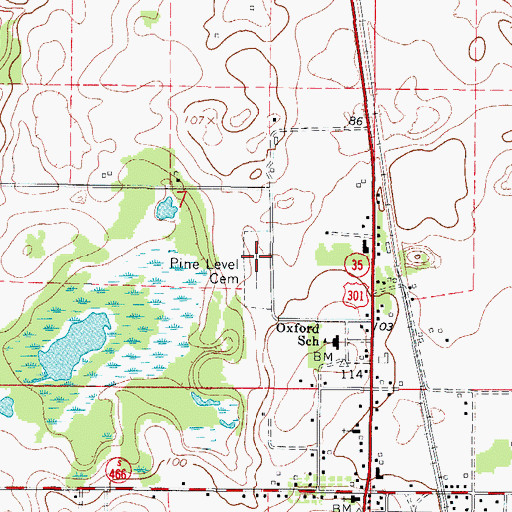 Topographic Map of Pine Level Cemetery, FL