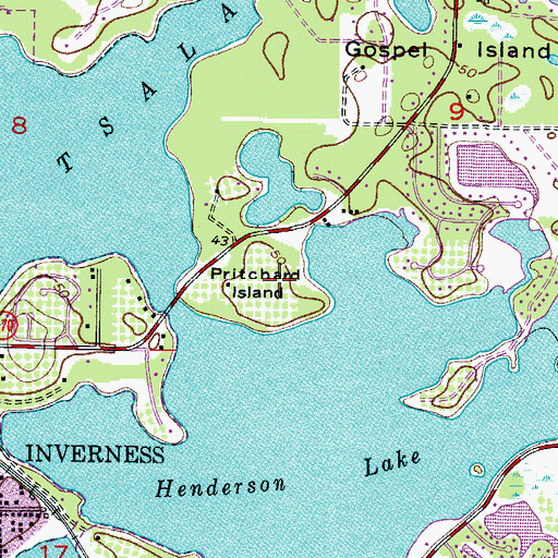 Topographic Map of Pritchard Island, FL