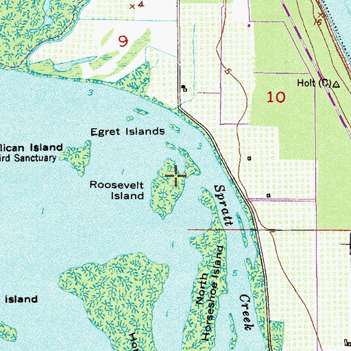 Topographic Map of Roosevelt Island, FL
