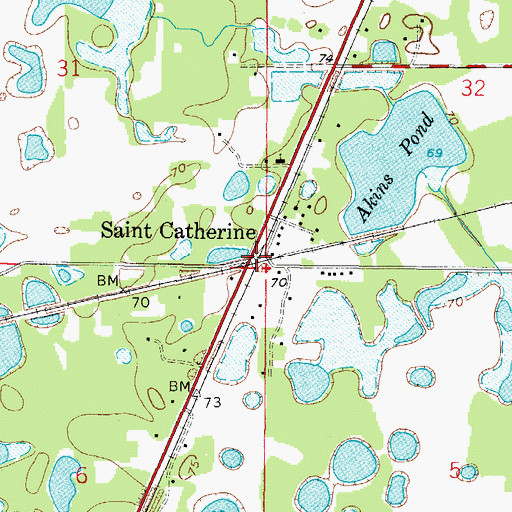 Topographic Map of Saint Catherine, FL