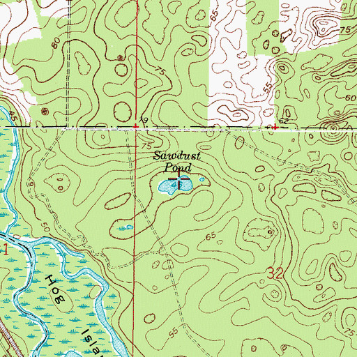 Topographic Map of Sawdust Pond, FL