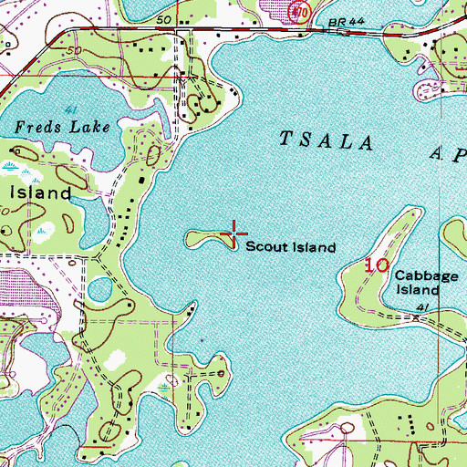 Topographic Map of Scout Island, FL