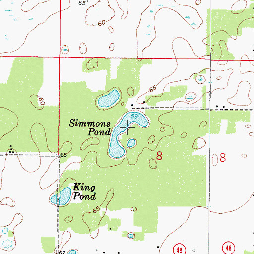 Topographic Map of Simmons Pond, FL