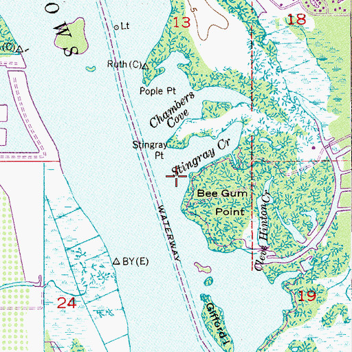 Topographic Map of Stingray Creek, FL