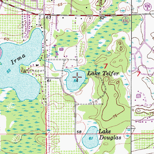 Topographic Map of Lake Telfer, FL