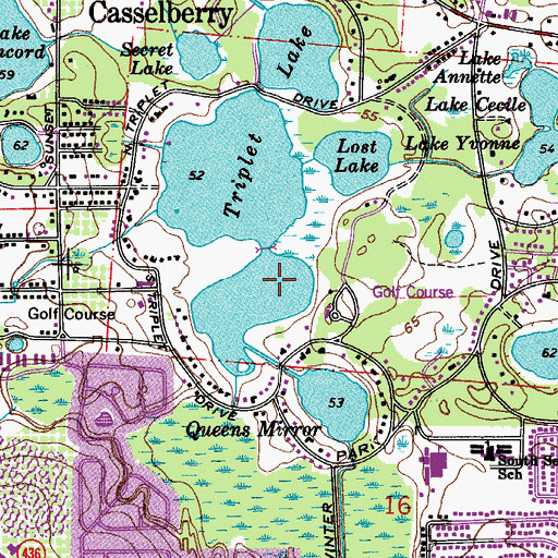 Topographic Map of Triplet Lake, FL