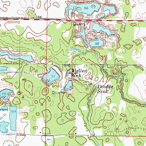Topographic Map of Walled Sink, FL