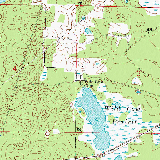 Topographic Map of Wild Cow Prairie Cemetery, FL