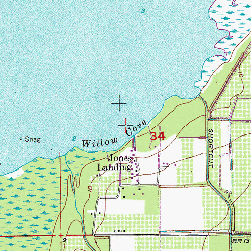 Topographic Map of Willow Cove, FL