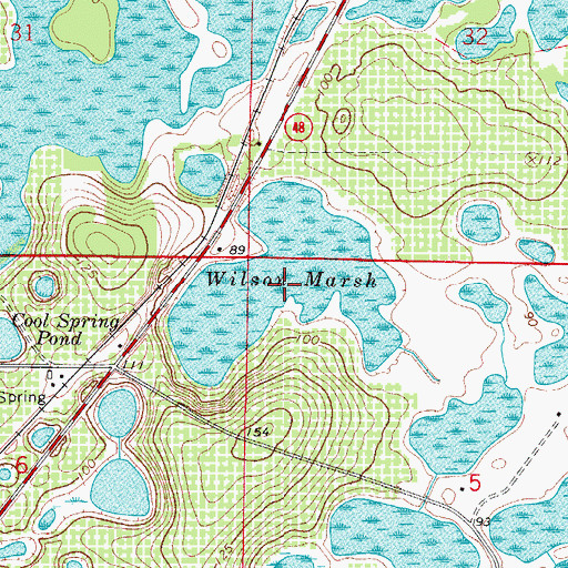 Topographic Map of Wilson Marsh, FL