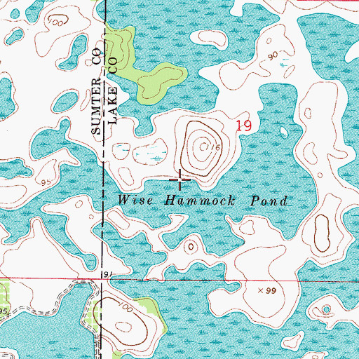 Topographic Map of Wise Hammock Pond, FL