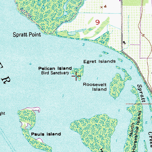 Topographic Map of Pelican Island, FL