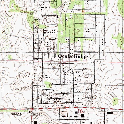 Topographic Map of Ocala Ridge, FL