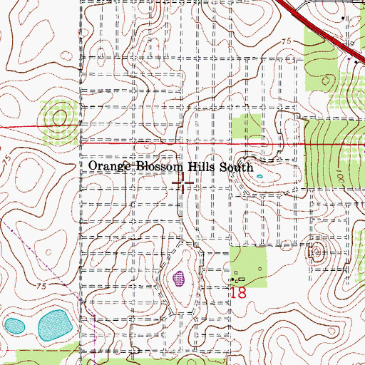 Topographic Map of Orange Blossom Hills South, FL
