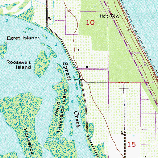 Topographic Map of Snake Island, FL