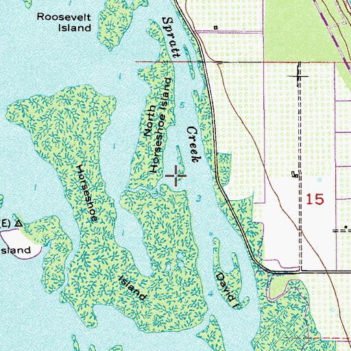 Topographic Map of Long Island, FL