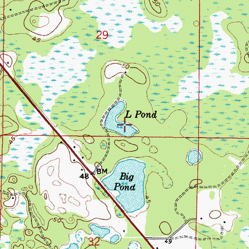 Topographic Map of L Pond, FL