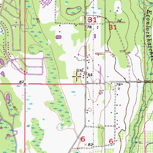 Topographic Map of Deerwood Elementary School, FL