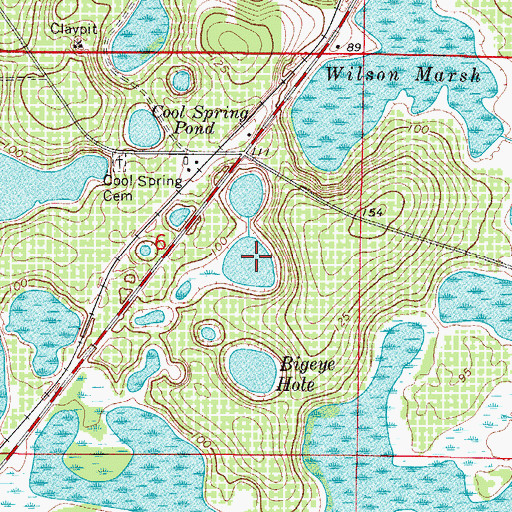 Topographic Map of Baptising Pond, FL