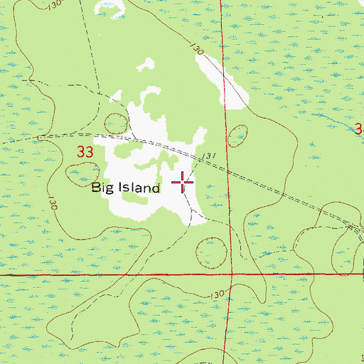 Topographic Map of Big Island, FL