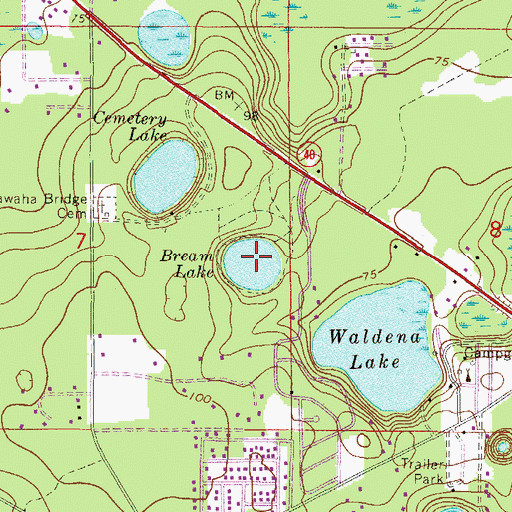 Topographic Map of Bream Lake, FL