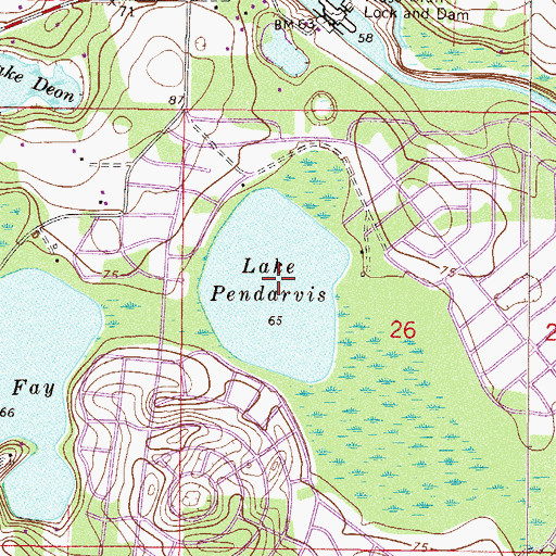 Topographic Map of Lake Pendarvis, FL