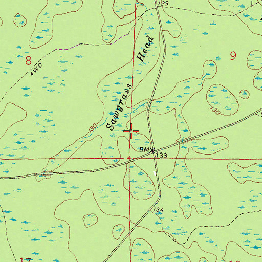 Topographic Map of Sawgrass Head, FL