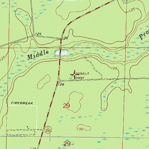 Topographic Map of East Tower, FL