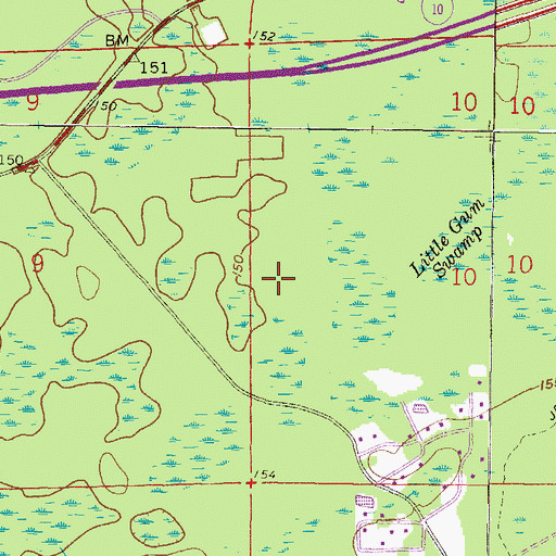 Topographic Map of Wiggins Hunt Camp, FL