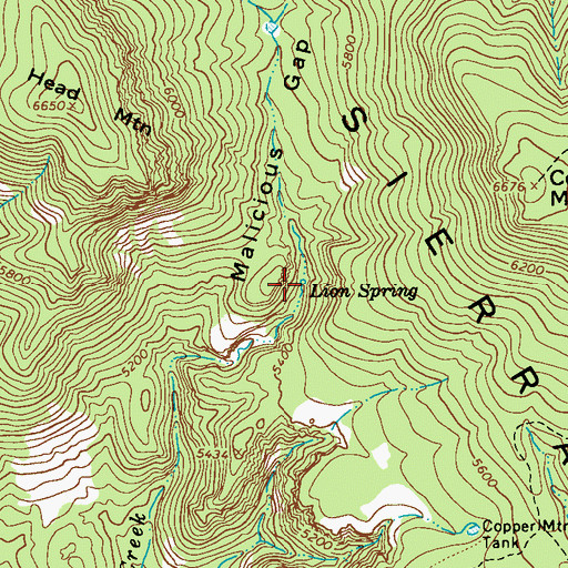Topographic Map of Lion Spring, AZ