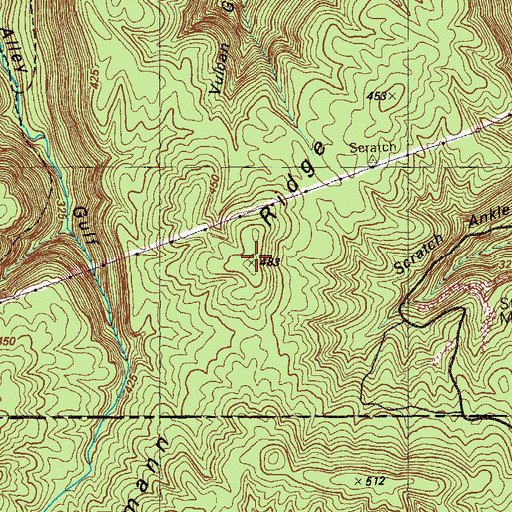 Topographic Map of Leidermann Ridge, TN