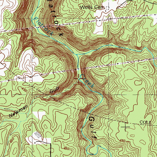 Topographic Map of Newman Gulf, GA