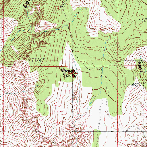 Topographic Map of Mystery Spring, AZ
