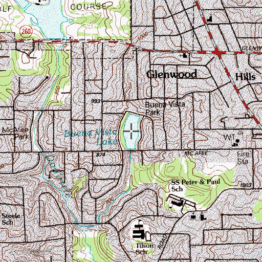 Topographic Map of Buena Vista Lake, GA