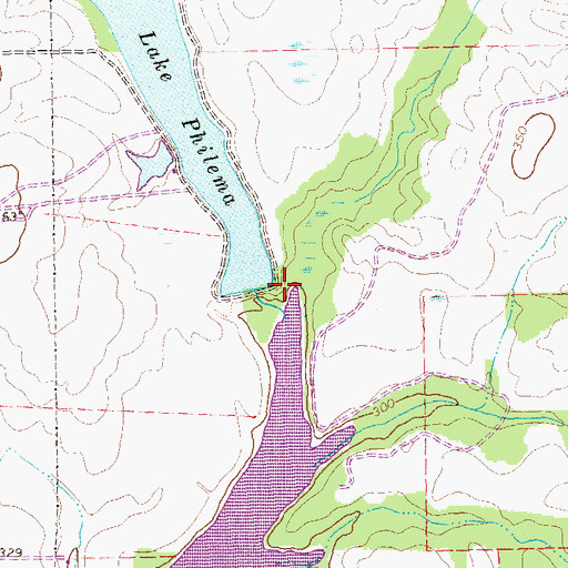 Topographic Map of Lake Philema Dam, GA