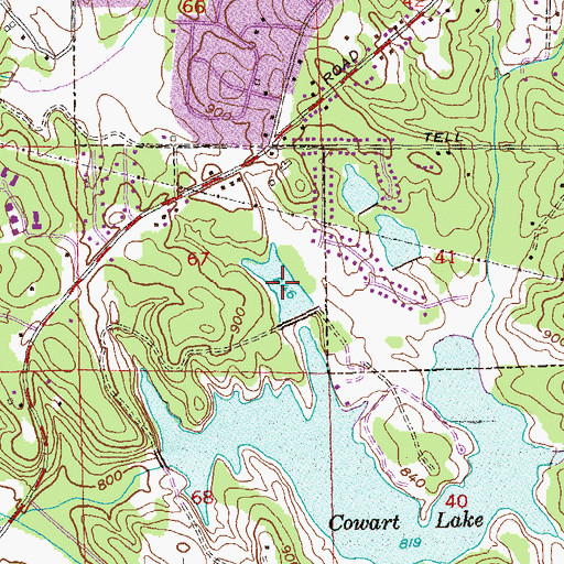 Topographic Map of Upper Cowart Lake, GA