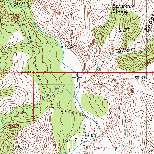 Topographic Map of Short Chops Canyon, AZ