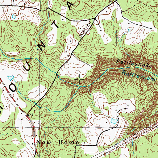 Topographic Map of Ferndale Mine, GA