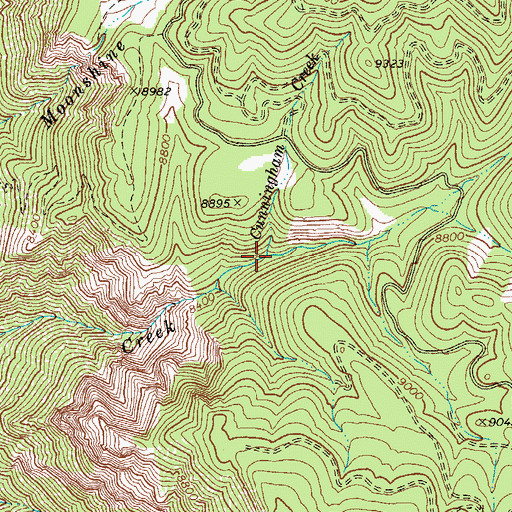 Topographic Map of Cunningham Creek, AZ