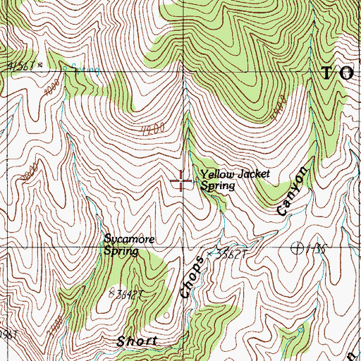 Topographic Map of Yellow Jacket Spring, AZ