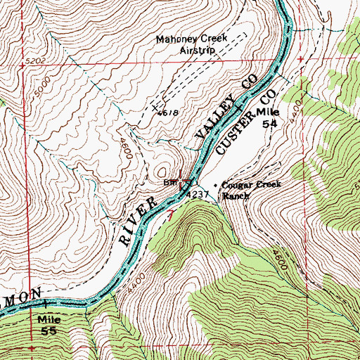 Topographic Map of Cougar Creek, ID