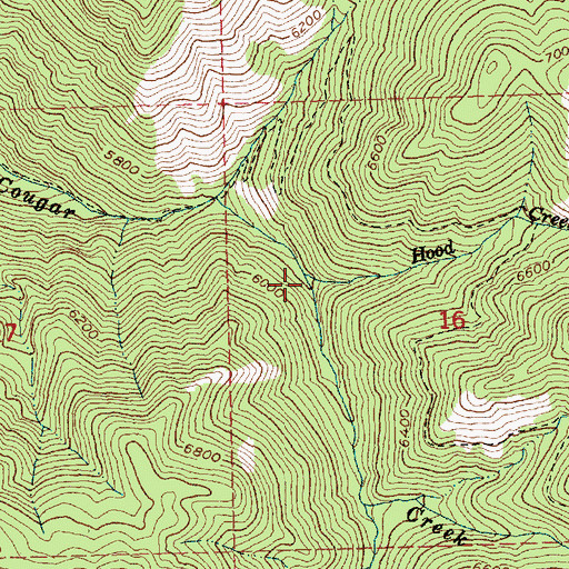 Topographic Map of Hood Creek, ID