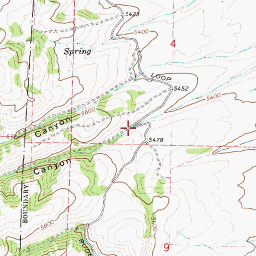 Topographic Map of Swede Canyon, ID
