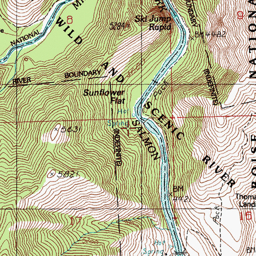 Topographic Map of Sunflower Campsite, ID
